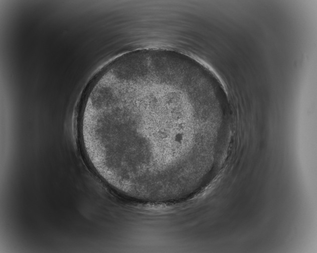 X0000087580983200705251838