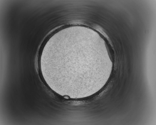 X0000087580984200705251838