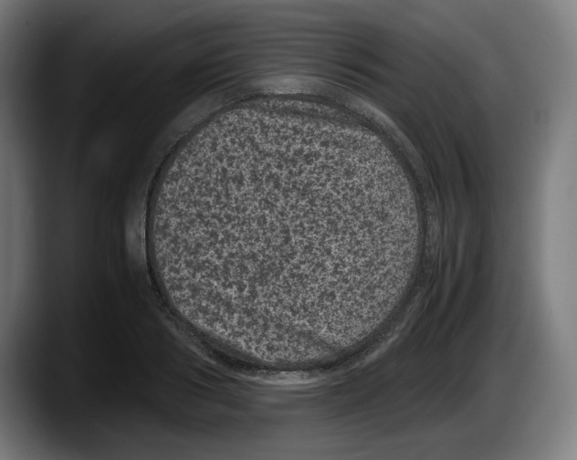 X0000087580986200705251837