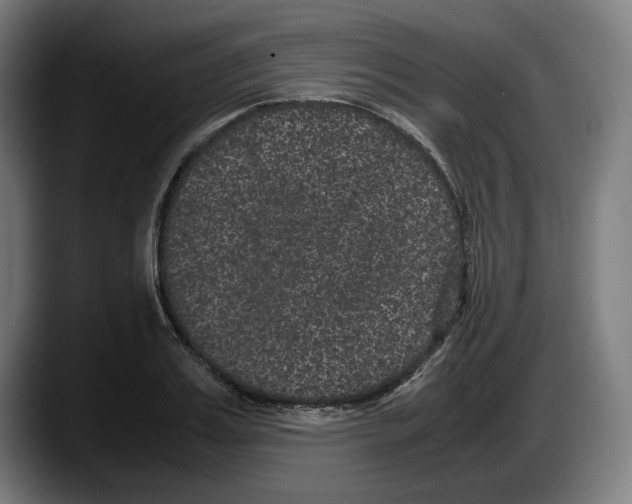 X0000087580987200705251837