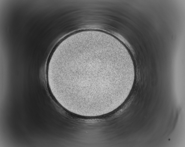 X0000087580988200705251837