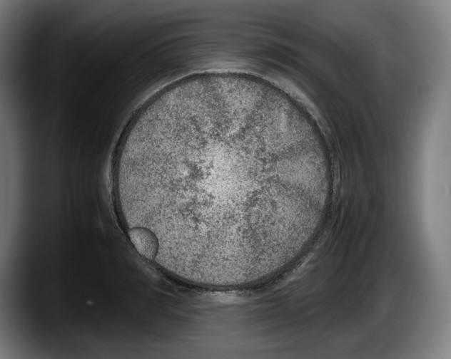 X0000087580990200705251837