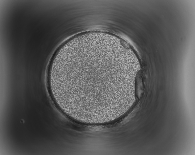 X0000087580991200705251837