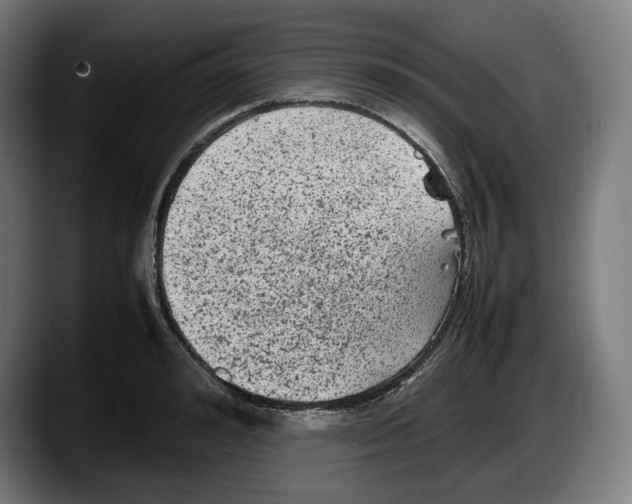 X0000087580992200705251837