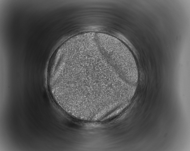 X0000087580994200705251837