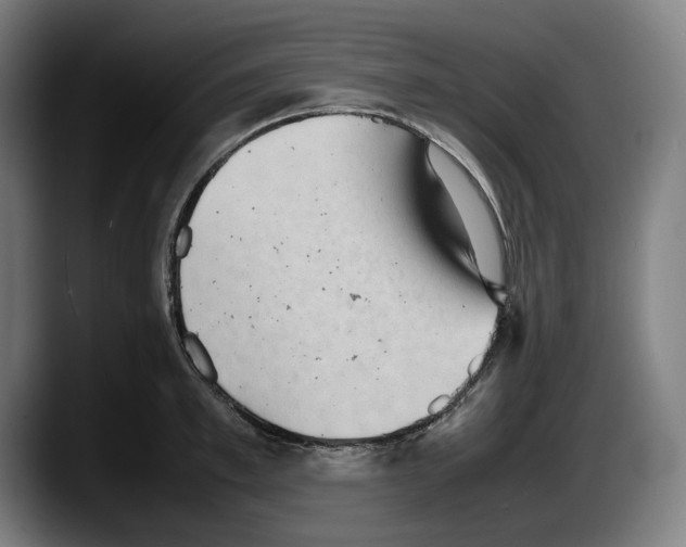 X0000087580997200705251837