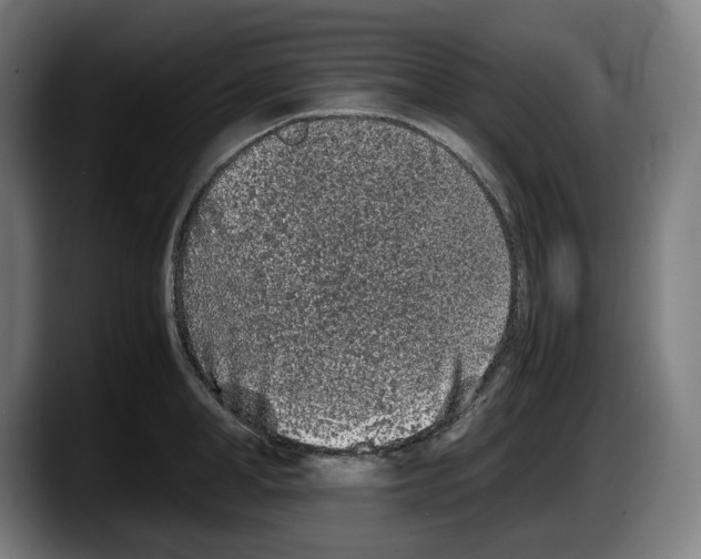 X0000087580998200705251837