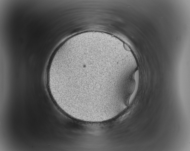 X0000087580999200705251837
