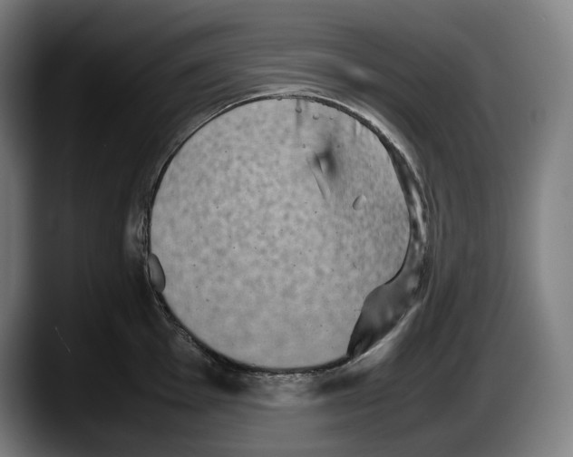X0000087581001200705251837