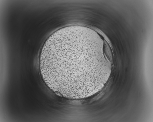 X0000087581004200705251837