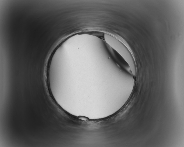 X0000087581005200705251837