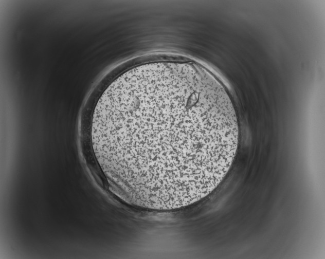 X0000087581006200705251837