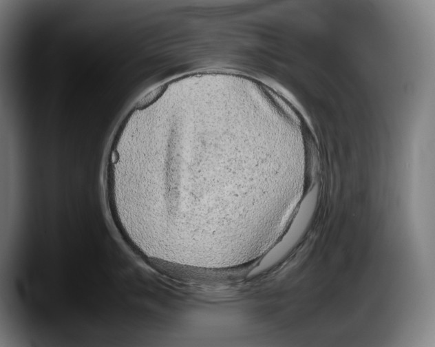 X0000087581007200705251837