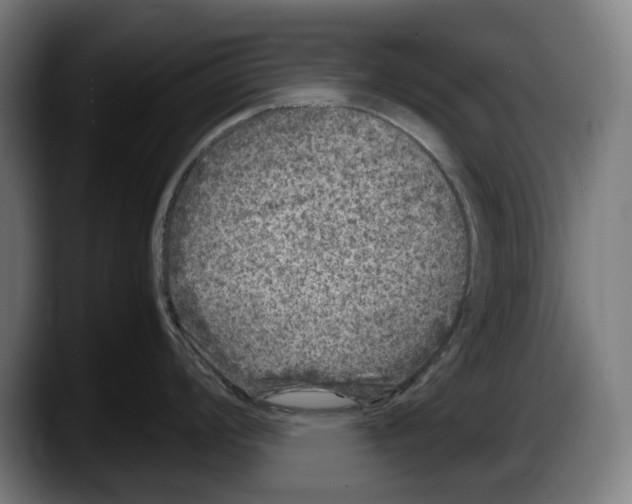 X0000087581008200705251837