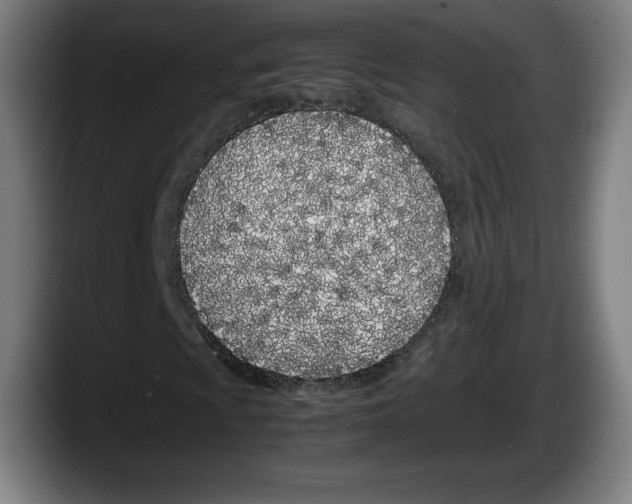 X0000087581009200705251837
