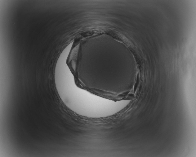 X0000087581010200705251837
