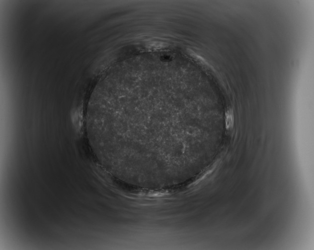 X0000087581011200705251837
