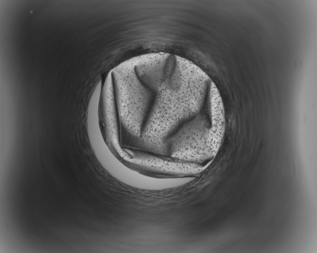 X0000087581012200705251837
