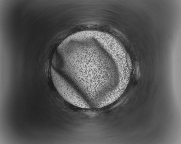 X0000087581014200705251837
