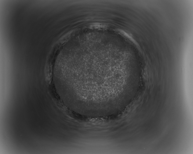 X0000087581015200705251837