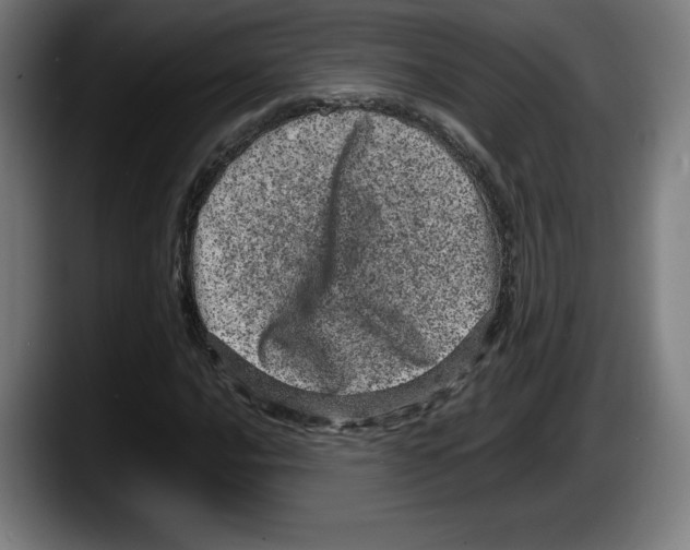 X0000087581016200705251837