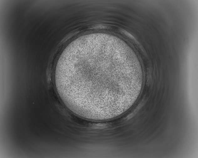 X0000087581017200705251837
