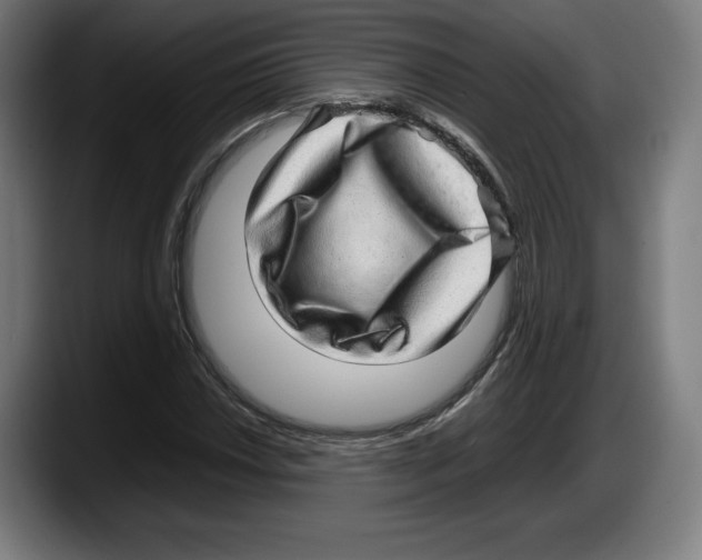 X0000087581018200705251837