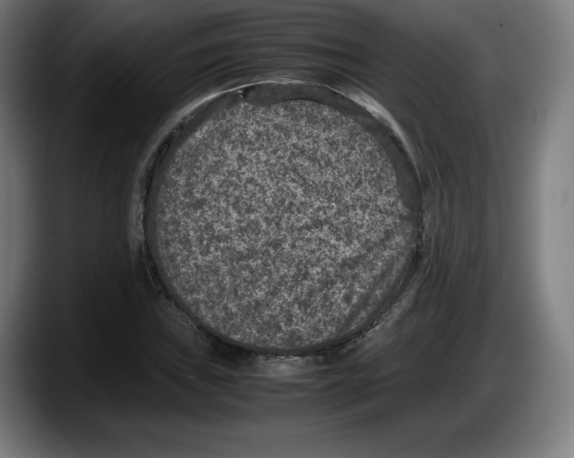 X0000087581019200705251837