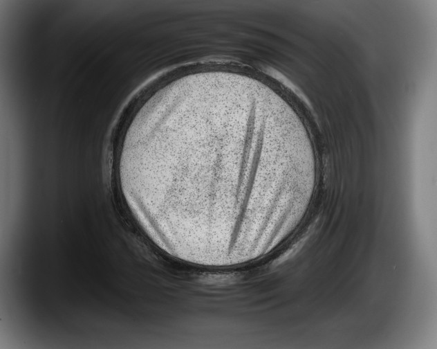X0000087581021200705251837