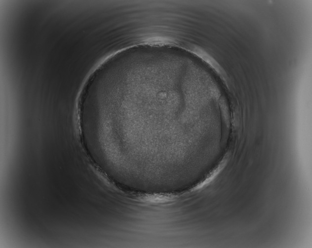 X0000087581022200705251837