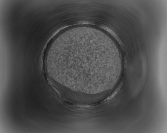X0000087581023200705251837
