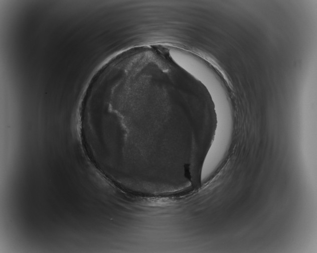X0000087581024200705251837