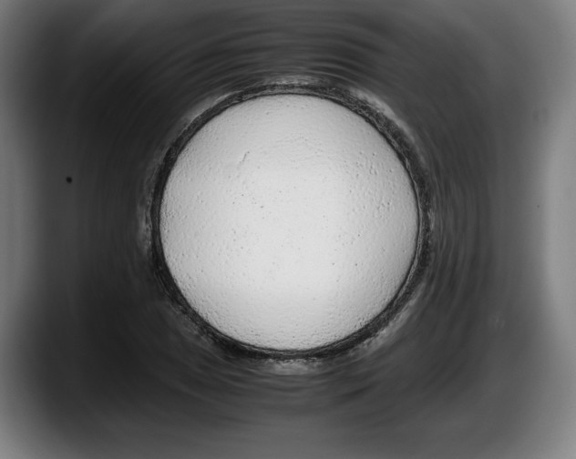 X0000087581025200705251837