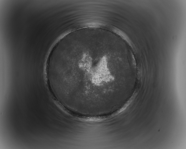 X0000087581026200705251837