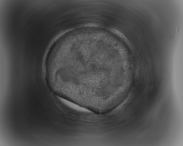 X0000087581027200705251837
