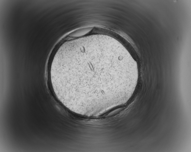 X0000087581028200705251837
