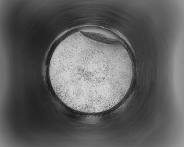X0000087581029200705251837