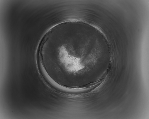 X0000087581030200705251837