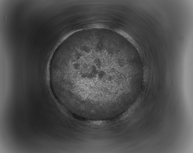 X0000087581031200705251837