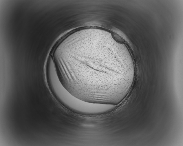 X0000087581032200705251837