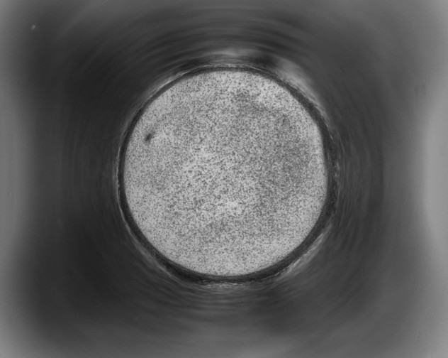X0000087581033200705251837