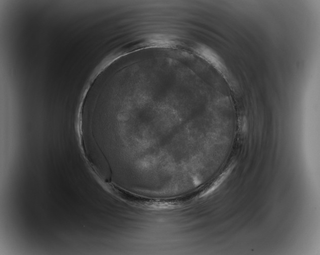 X0000087581034200705251837