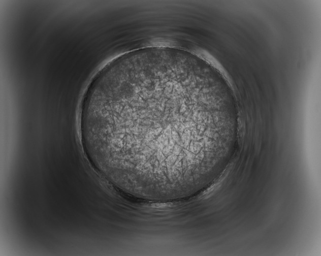 X0000087581035200705251837