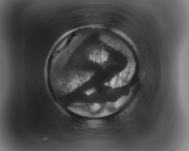 X0000087581037200705251837