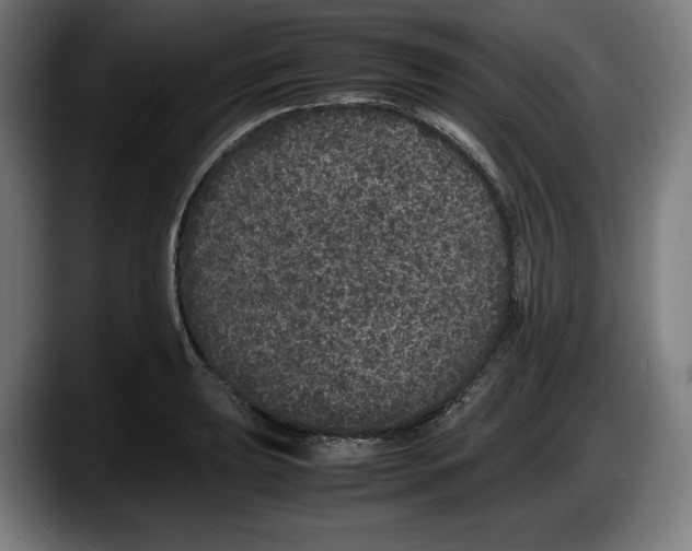 X0000087581039200705251837
