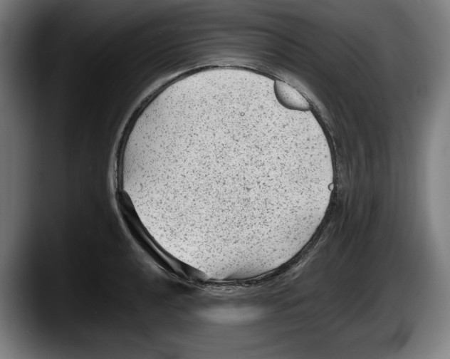 X0000087581040200705251837