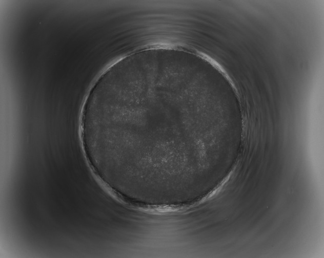 X0000087581042200705251837