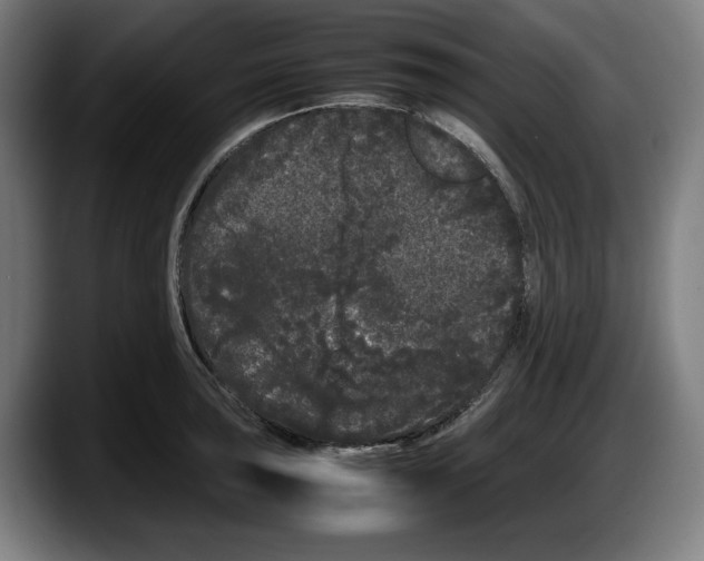 X0000087581043200705251837