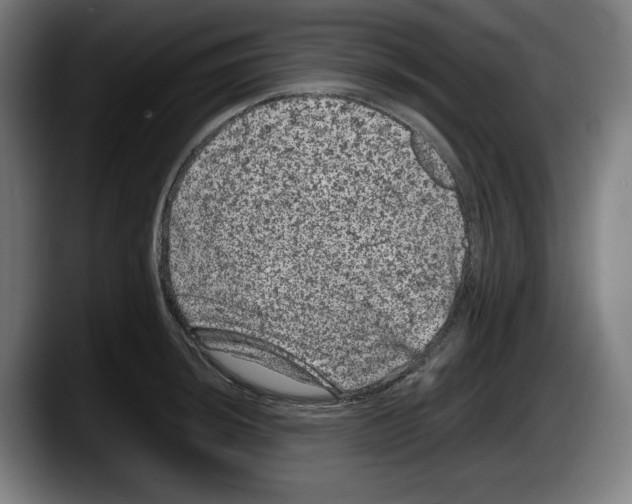 X0000087581044200705251837