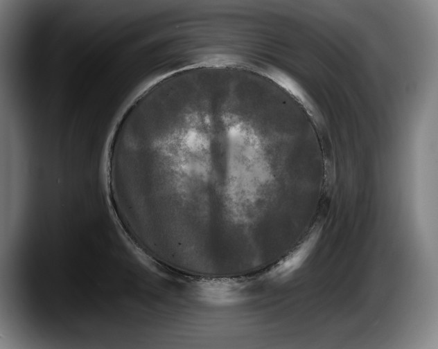 X0000087581046200705251837